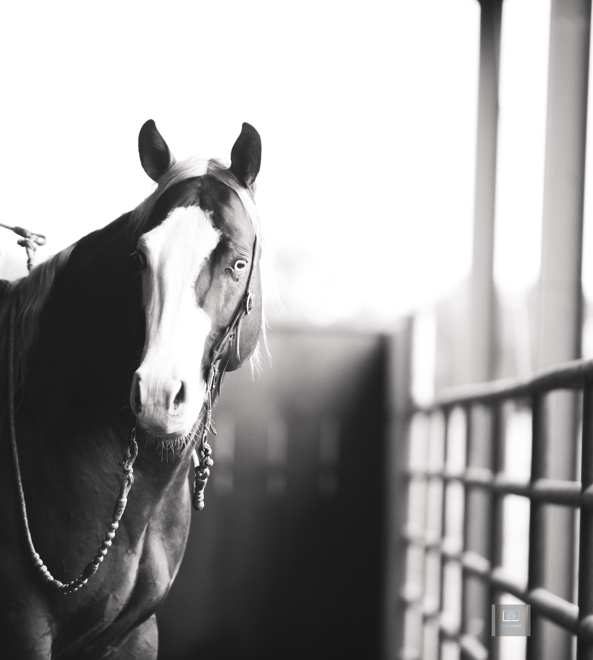 placeholder image-sq